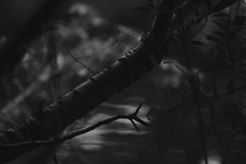 Sensor Based Depth Map Image