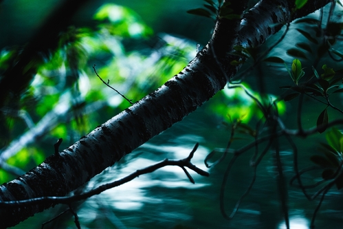 Retouched Main Image