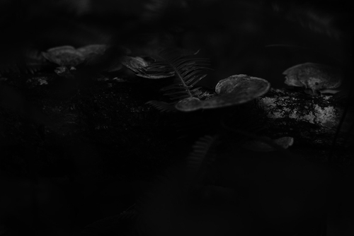 Sensor Based Depth Map Image