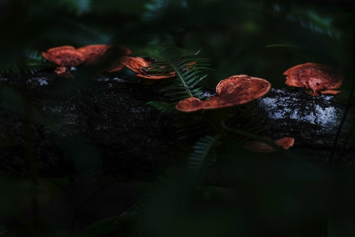 Retouched Main Image